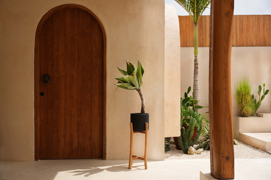 Moderne binnentuin met houten deur, potplant op standaard en cactussen, verlicht door zonlicht.