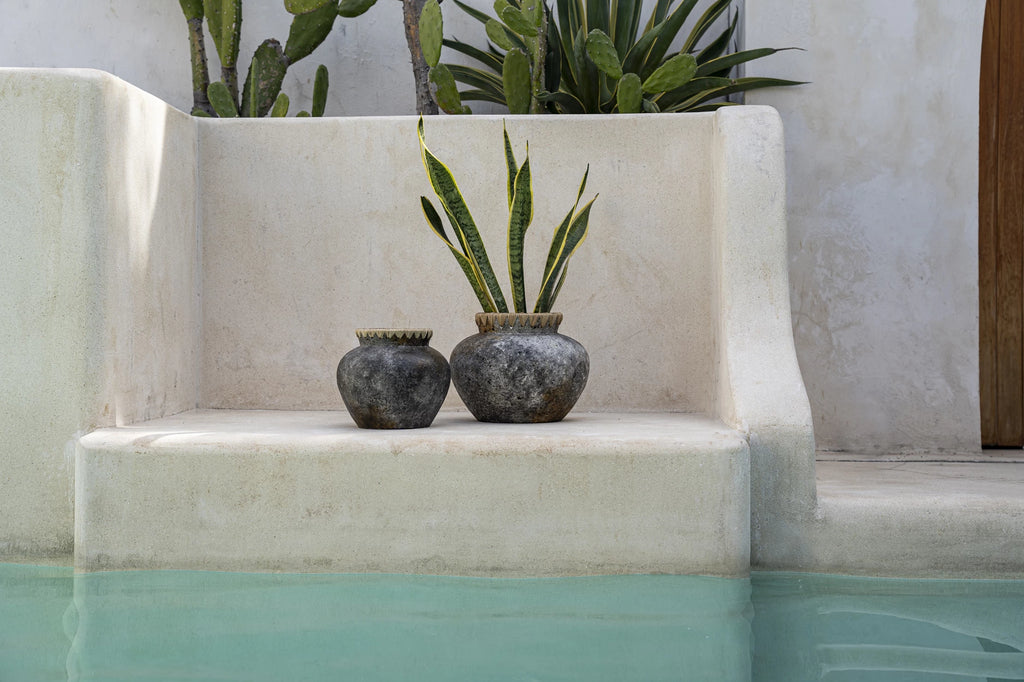 Twee stenen potten met sansevieria planten op een witte, rustieke bank naast een turquoise zwembad.