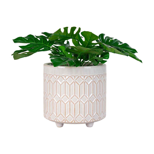 Groene varens in een stijlvol, geometrisch patroon pot op witte achtergrond.