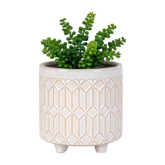 Groene vetplant in een witte keramische pot met geometrisch patroon, rustend op pootjes.