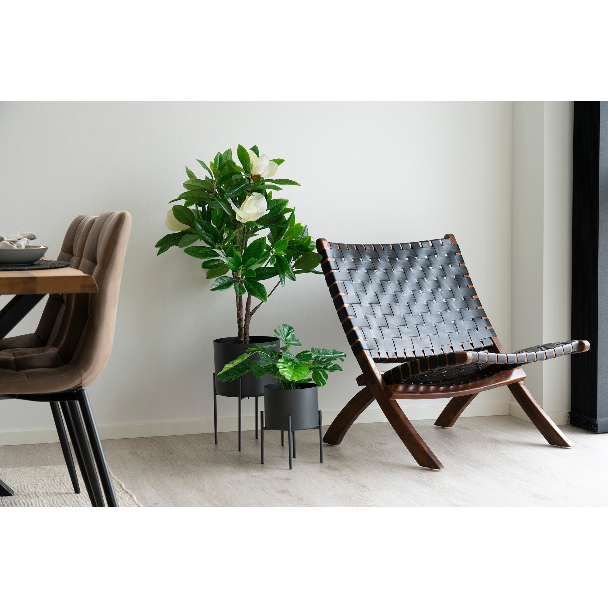 Houten stoel met geweven zwart leren zitting naast groene planten in zwarte potten in modern interieur.