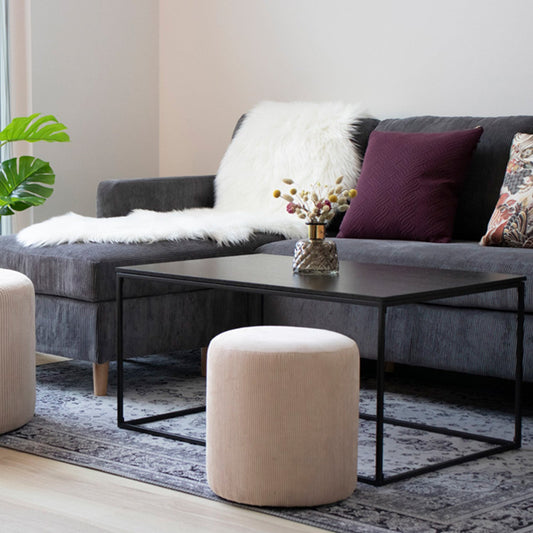 Moderne woonkamer met grijze bank, paarse kussens, salontafel en vaas. Jute poefs en groene plant aan zijkant.