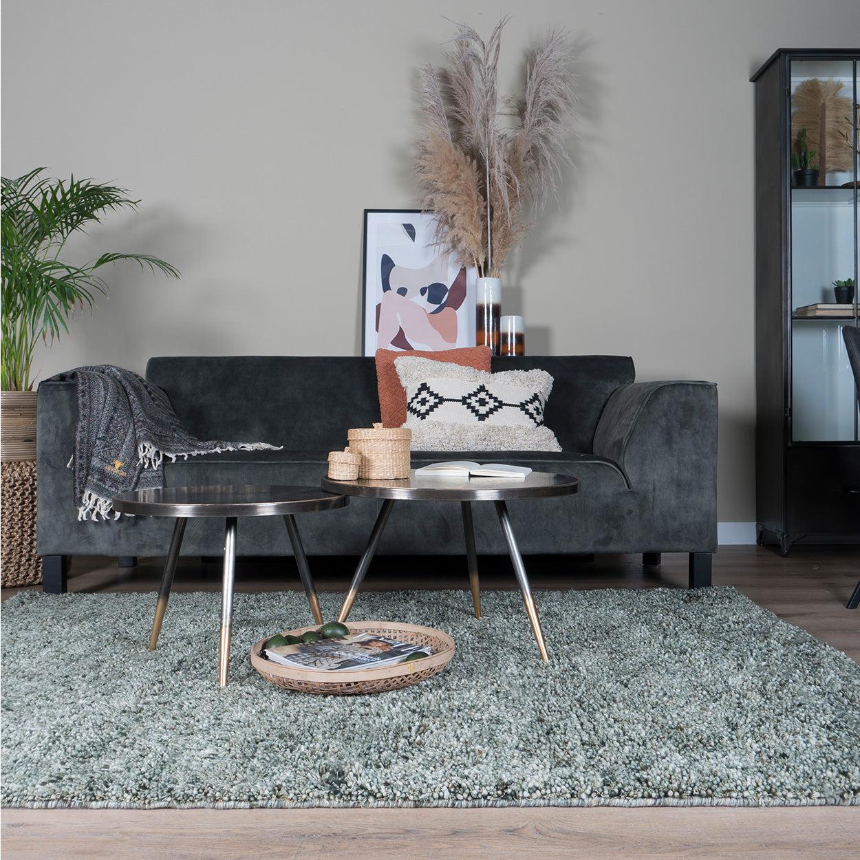 Stijlvolle woonkamer met grijze bank, kleurrijke kussens, siergras, planten en metalen tafels op een groen tapijt.