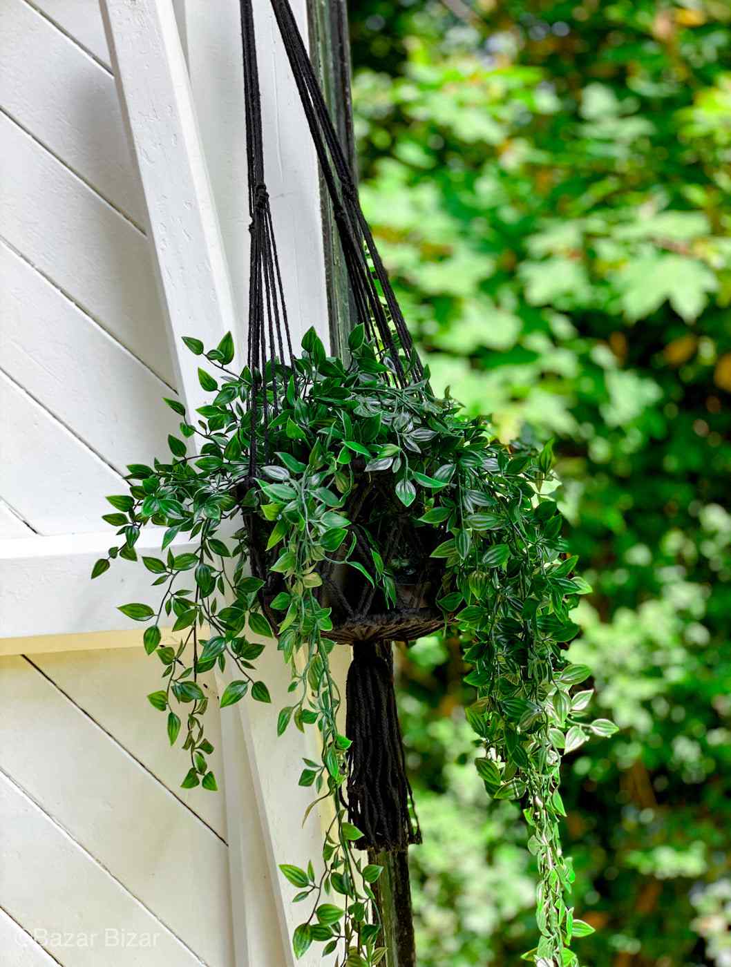 Hangplant in zwart macraméhanger tegen witte houten wand, met weelderig groen en zonlicht op de achtergrond.