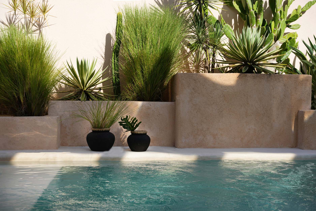 Zwembad met helderblauw water omgeven door stenen bakken met groene planten en cactussen in de zon.