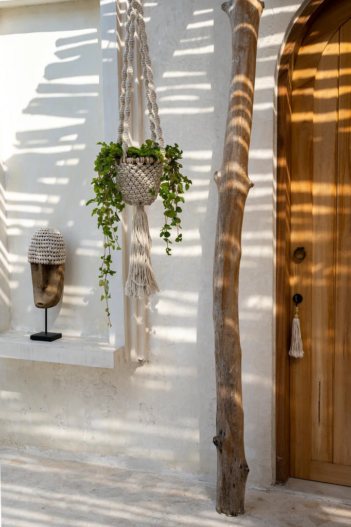 Macramé-plantenhanger met groene plant naast houten deur en rustieke decoratie in zonovergoten ruimte.