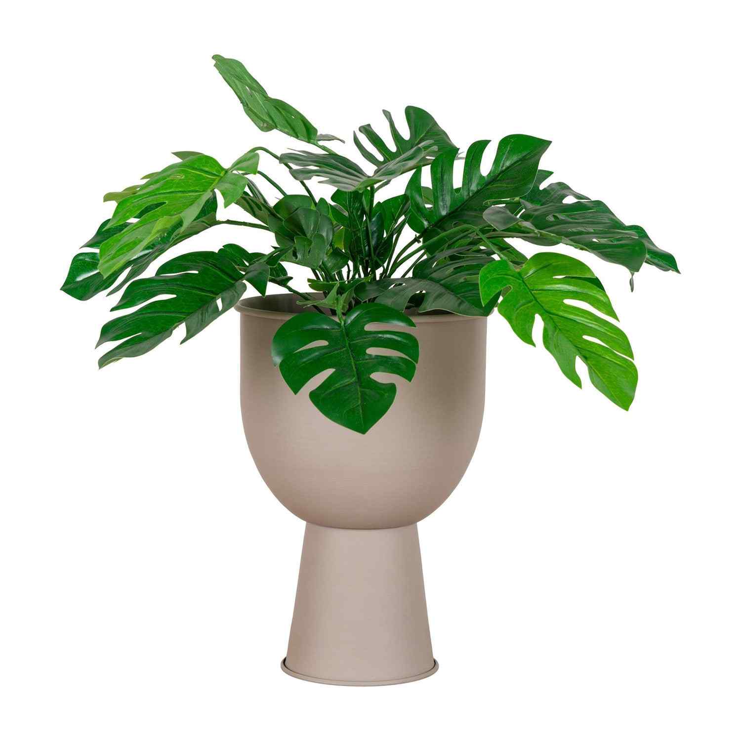Diepgroene Monstera plant in een moderne beige bloempot met elegante, groot gespleten bladeren.