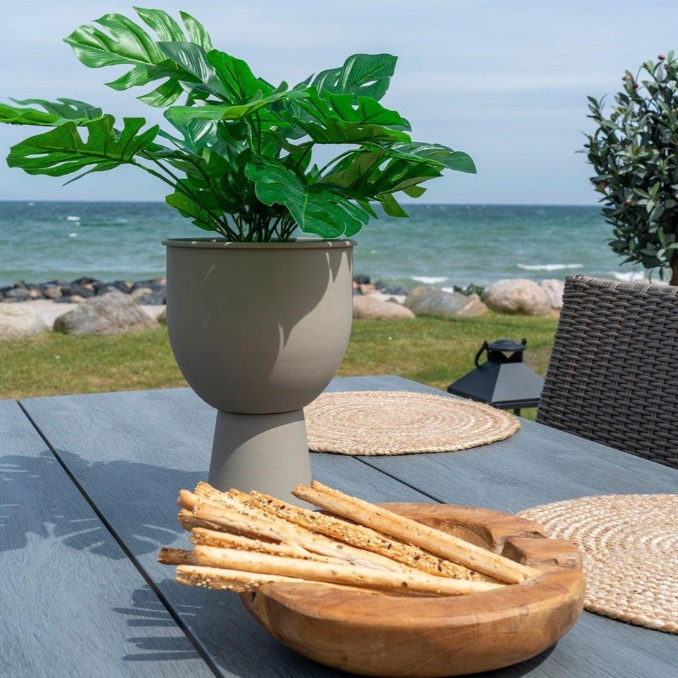 Groene plant in een grijze pot op een houten tafel met grissini in een schaal, uitzicht op zee op de achtergrond.