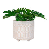Groene monstera-plant in een witte pot met geometrisch patroon, op kleine poten en egaal wit afgewerkt.