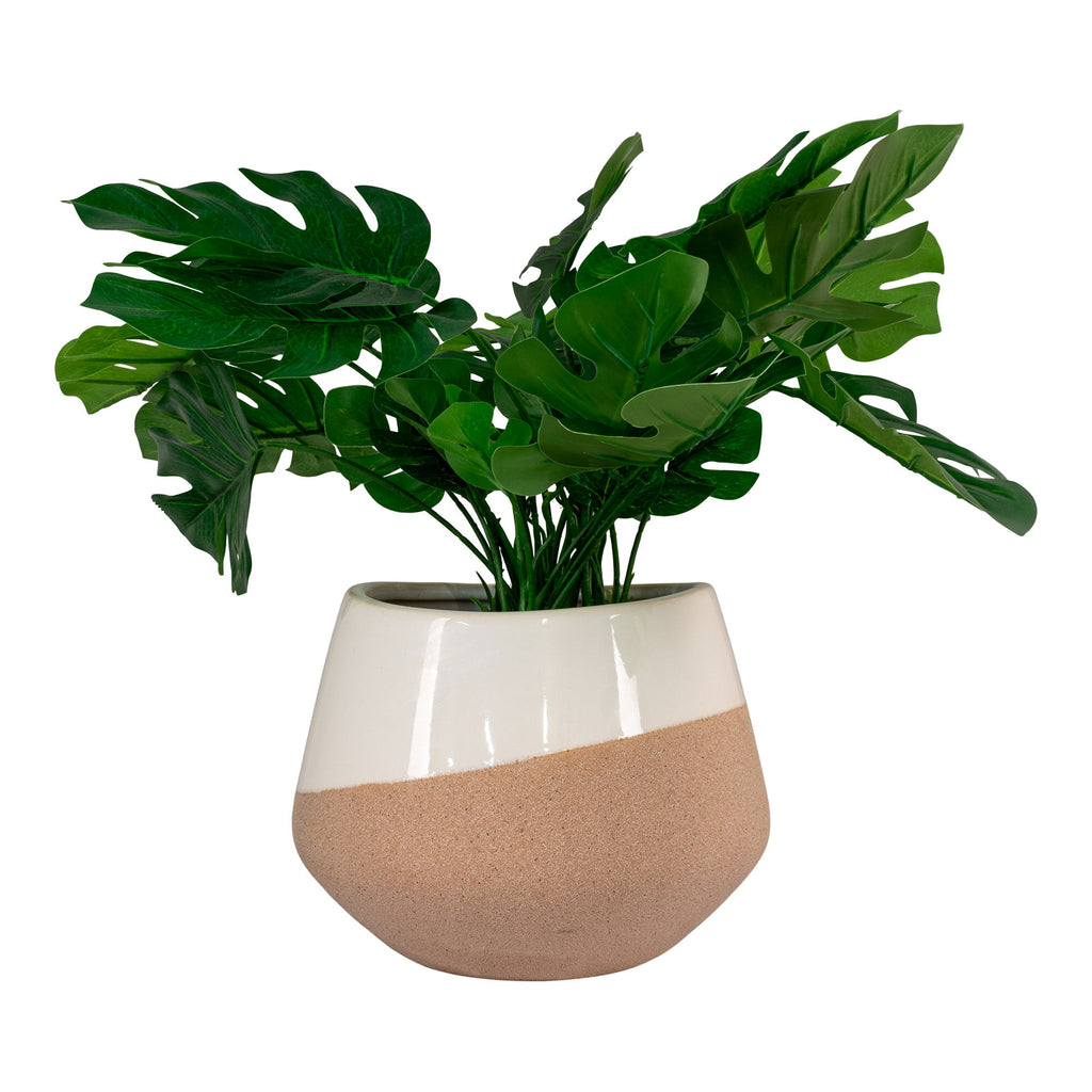 Beige keramische bloempot Ø20 cm met diagonaal duotint gevuld met weelderige groene Monstera-achtige kamerplant