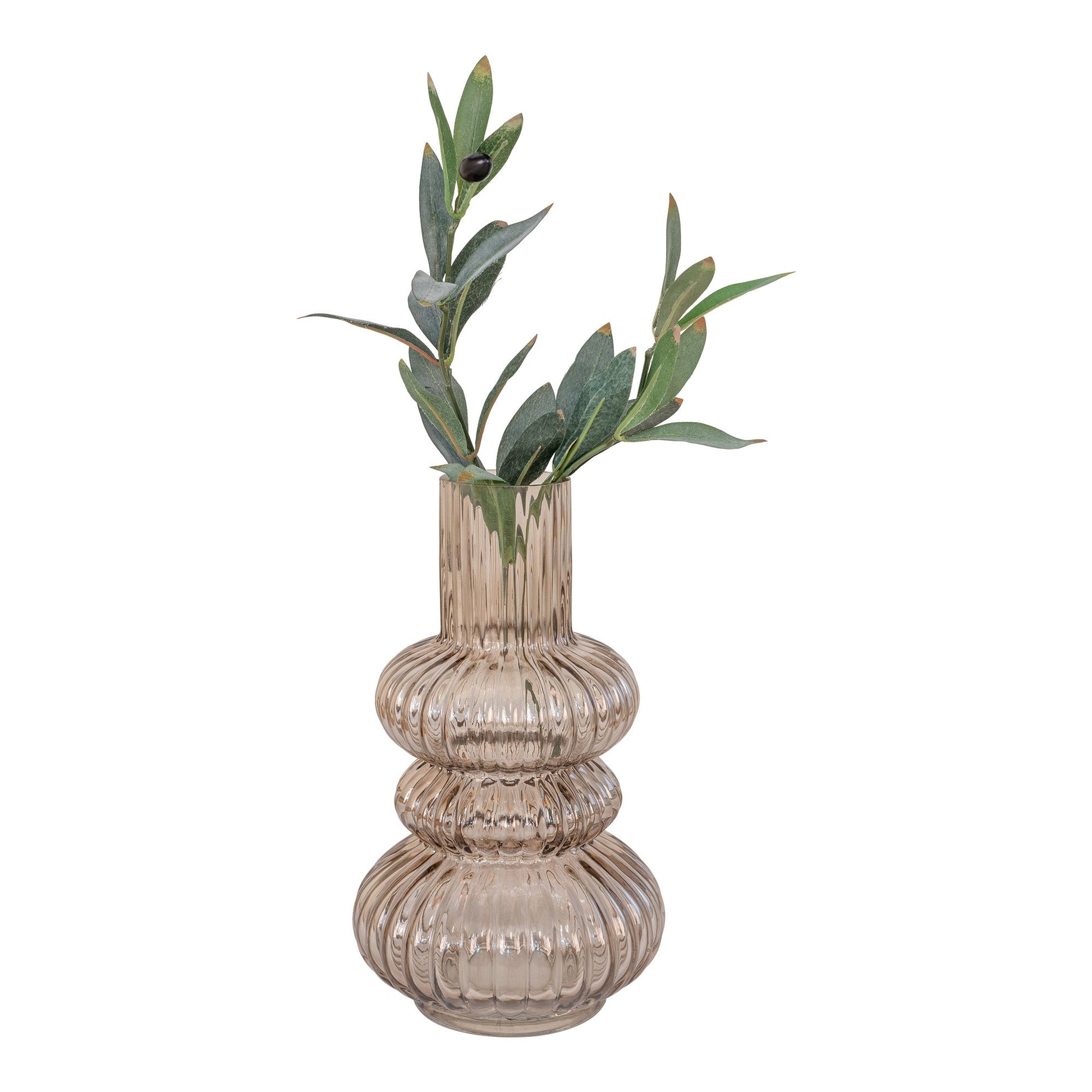 Geribbelde glazen vaas met groene olijftak, elegant en modern, in warme, neutrale tinten.