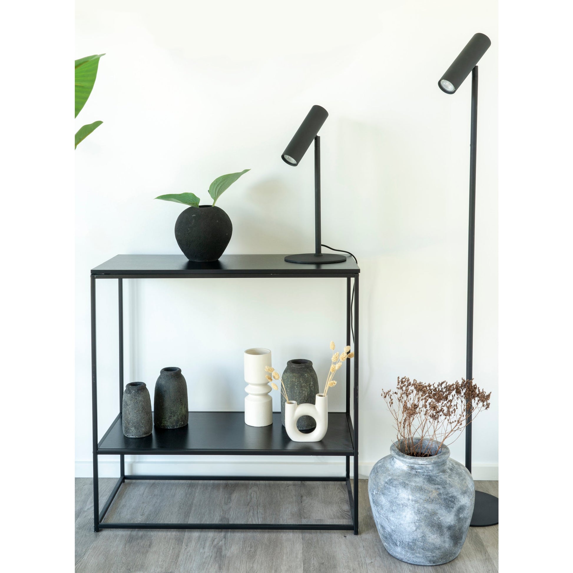 Moderne bijzettafel met zwarte lampen, donkere vazen, groene plant en droogbloemen in witte kamers.