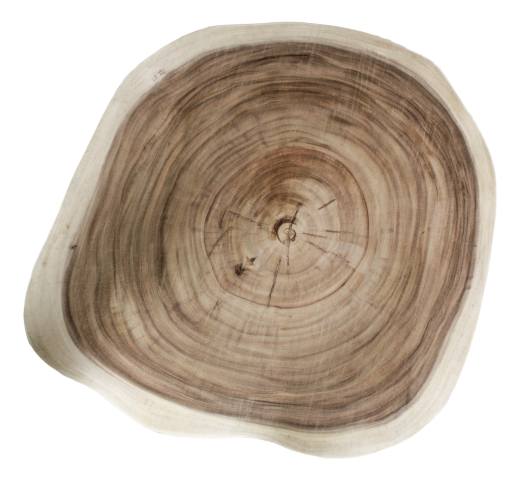 Ronde houtschijf met zichtbare jaarringen, natuurlijke houten kleur en organische, onregelmatige vorm.